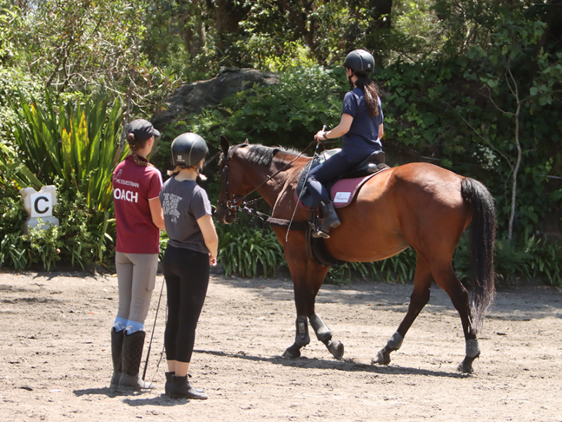 Horse Riding Tile